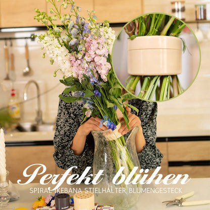🎄Valentinstags-Angebote -49% RABATT🎄Spiral Ikebana Stielhalter